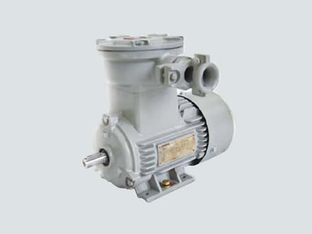 西門子低壓隔爆電機(jī)